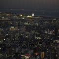 20130111東京小冒險-松山機場、淺草、晴空塔 - 4