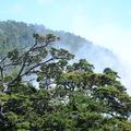 那年首登百岳&嘉明湖 - (上) - 162