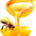 2/蜂蜜honey