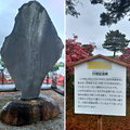 2019日本關東自駕遊-館林杜鵑岡公園