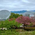 2019日本關東自駕遊-山梨縣笛吹川水果公園