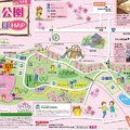 2019日本關東自駕遊-秩父羊山公園