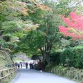 2019秋遊日本東北-平泉中尊寺