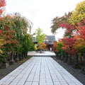 2019秋遊日本東北-弘前市最勝院