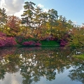 2019秋遊日本東北-弘前公園＆植物園