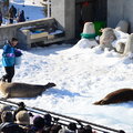 2015冬遊日本-旭川市旭山動物園