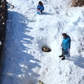 2015冬遊日本-旭川市旭山動物園