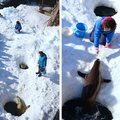 2015冬遊日本-旭川市旭山動物園