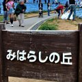 2019日本關東自駕遊-國營常陸海濱公園