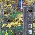 2019秋遊日本東北-奧入瀨溪流