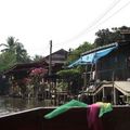 水上市場 Damnoen Saduak Floating Market