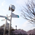 用這個時鐘證明，我真的透早就到上野公園