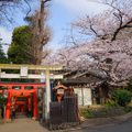 上野公園裡的花園稻荷神社