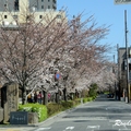 2014 京都_祇園