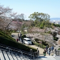 2014 京都_祇園