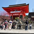 2014 京都_祇園