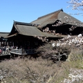 2014 京都_祇園