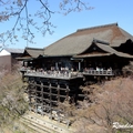 2014 京都_祇園