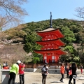 2014 京都_祇園