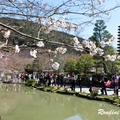 2014 京都_祇園