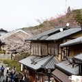 2014 京都_祇園