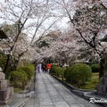 2014 京都_祇園