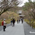 2014 京都_祇園