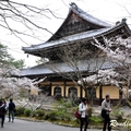 2014 京都_祇園