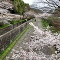 2014 京都_祇園