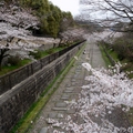 2014 京都_祇園