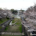 2014 京都_祇園