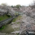 2014 京都_祇園