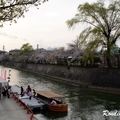 2014 京都_祇園