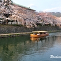 2014 京都_祇園