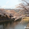 2014 京都_祇園