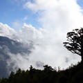 拍攝日期:2012.11.10 
拍攝地點:合歡山
