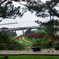 201211 羅東林場的浮木倒影與花蓮松園別館的奇松