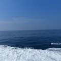 宜蘭龜山島賞鯨(20130531)