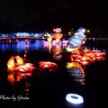 台中公園花燈 (20150302)