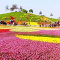 2017台中國際花毯節