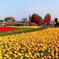 2017台中國際花毯節