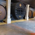 1050403_2_赫雷斯Jerez雪莉酒廠