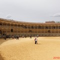 1050402_3_隆達Ronda