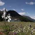 1060610_1_Tarasp