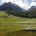 1060610_1_Tarasp