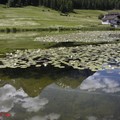 1060610_1_Tarasp