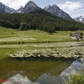 1060610_1_Tarasp