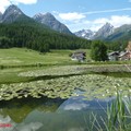 1060610_1_Tarasp