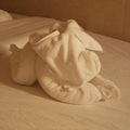 整理床舖的侍者每天用浴巾折一隻動物~~沙皮狗