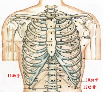 17l 2 Chest Pain 胸部骨痛 經絡學acupuncture Points Udn部落格